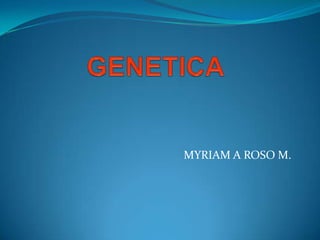 GENETICA MYRIAM A ROSO M. 