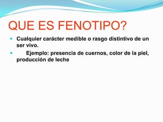 QUE ES FENOTIPO?Cualquier carácter medible o rasgo distintivo de un ser vivo. Ejemplo: presencia de cuernos, color de la piel, producción de leche