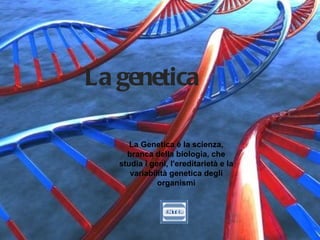 La genetica La Genetica è la scienza, branca della biologia, che studia i geni, l'ereditarietà e la variabilità genetica degli organismi 