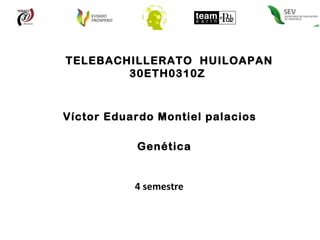 TELEBACHILLERATO  HUILOAPAN 30ETH0310Z  Víctor Eduardo Montiel palacios  Genética  4 semestre  