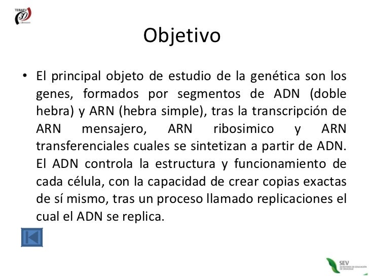 Objetivo De Estudio De La Genética