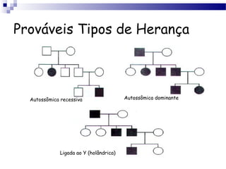 Prováveis Tipos de Herança
Autossômica recessiva Autossômica dominante
Ligada ao Y (holândrica)
 