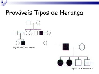 Prováveis Tipos de Herança
Ligada ao X recessiva
Ligada ao X dominante
 