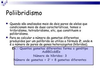 Poliibridismo
 Quando são analisados mais de dois pares de alelos que
condicionam mais de duas características, temos o
triibridismo, tetraibridismo, etc, que constituem o
poliibridismo.
 Para se calcular o número de gametas diferentes
produzidos por um poliíbrido se utiliza a fórmula 2n
, onde n
é o número de pares de genes heterozigotos (híbridos).
Ex.: Quantos gametas diferentes forma o genótipo
AaBBCcddEe
Número de híbridos: 3
Número de gametas = 23
= 8 gametas diferentes
 