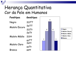 Herança Quantitativa
Cor da Pele em Humanos
Fenótipos Genótipos
Negro SSTT
Mulato Escuro
SsTT
SSTt
Mulato Médio
SsTt
SStt
ssTT
Mulato Claro
Sstt
ssTt
Branco sstt
1
2
3
2
1
Negro
Mulato Escuro
Mulato Médio
Mulato Claro
Branco
 