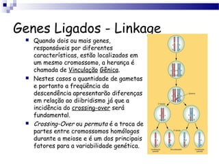 Genes Ligados - Linkage
 Quando dois ou mais genes,
responsáveis por diferentes
características, estão localizados em
um mesmo cromossomo, a herança é
chamada de Vinculação Gênica.
 Nestes casos a quantidade de gametas
e portanto a freqüência da
descendência apresentarão diferenças
em relação ao diibridismo já que a
incidência do crossing-over será
fundamental.
 Crossing-Over ou permuta é a troca de
partes entre cromossomos homólogos
durante a meiose e é um dos principais
fatores para a variabilidade genética.
 