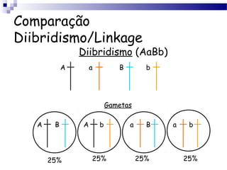 Comparação
Diibridismo/Linkage
Diibridismo (AaBb)
A a B b
Gametas
A B A b a B a b
25% 25% 25% 25%
 