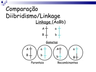 Comparação
Diibridismo/Linkage
Linkage (AaBb)
A
B
a
b
Gametas
A
B
a
b
A
b
a
B
Parentais Recombinantes
 