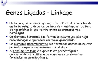 Genes Ligados - Linkage
 Na herança dos genes ligados, a freqüência dos gametas de
um heterozigoto depende da taxa de crossing-over ou taxa
de recombinação que ocorre entre os cromossomos
homólogos.
 Os Gametas Parentais são formados mesmo que não haja
recombinação e aparecem em maior quantidade.
 Os Gametas Recombinantes são formados apenas se houver
permuta e aparecem em menor quantidade.
 A Taxa de Crossing é expressa em porcentagem e
corresponde a freqüência de gametas recombinantes
formados na gametogênese.
 
