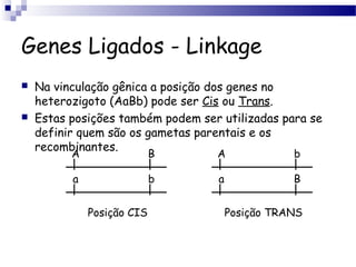 Genes Ligados - Linkage
 Na vinculação gênica a posição dos genes no
heterozigoto (AaBb) pode ser Cis ou Trans.
 Estas posições também podem ser utilizadas para se
definir quem são os gametas parentais e os
recombinantes.
A B
a b
Posição CIS
A b
a B
Posição TRANS
 