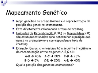 Mapeamento Genético
 Mapa genético ou cromossômico é a representação da
posição dos genes no cromossomo.
 Está diretamente relacionada a taxa de crossing.
 Unidades de Recombinação (U.R.) ou Morganídeos (M)
são as unidades usadas para determinar a posição dos
genes no cromossomo e correspondem a taxa de
crossing.
 Exemplo: Em um cromossomo há a seguinte freqüência
de recombinação entre os genes A,B,C e D:
A-B  45% A-C  20% C-B  25%
B-D  5% C-D  20% A-D  40%
Qual a posição dos genes no cromossomo?
 