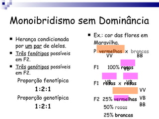 Monoibridismo sem Dominância Herança condicionada por  um   par  de alelos. Três   fenótipos  possíveis em F2. Três   genótipos  possíveis em F2. Proporção fenotípica 1:2:1 Proporção genotípica 1:2:1 Ex.: cor das flores em Maravilha. P  vermelhas   x  brancas F1  100%  rosas F1  rosas   x  rosas F2  25%  vermelhas 50%  rosas 25%  brancas VV BB VB VB VB VV VB BB 