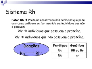 Sistema Rh Fator Rh     Proteína encontrada nas hemácias que pode agir como antígeno se for inserida em indivíduos que não a possuam. Rh +     indivíduos que possuem a proteína. Rh -     indivíduos que não possuem a proteína. Doações Rh -   Rh + Fenótipos Genótipos Rh + RR ou Rr Rh - rr 