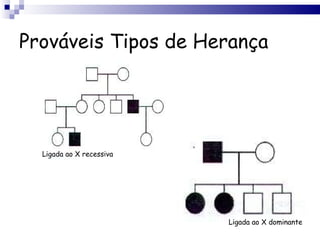 Prováveis Tipos de Herança Ligada ao X recessiva Ligada ao X dominante 
