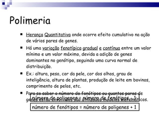 Polimeria Herança   Quantitativa  onde ocorre efeito cumulativo na ação de vários pares de genes. Há uma  variação   fenotípica   gradual   e   contínua  entre um valor mínimo e um valor máximo, devida a adição de genes dominantes no genótipo, seguindo uma curva normal de distribuição. Ex.: altura, peso, cor da pele, cor dos olhos, grau de inteligência, altura de plantas, produção de leite em bovinos, comprimento de pelos, etc. Para se saber o número de fenótipos ou quantos pares de genes estão envolvidos são utilizados modelos matemáticos. número de poligenes = número de fenótipos - 1 número de fenótipos = número de poligenes + 1 