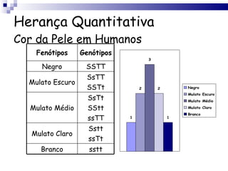 Herança Quantitativa Cor da Pele em Humanos Fenótipos Genótipos Negro SSTT Mulato Escuro SsTT SSTt Mulato Médio SsTt SStt ssTT Mulato Claro Sstt ssTt Branco sstt 