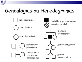 Genealogias ou Heredogramas sexo masculino sexo feminino sexo desconhecido casamento ou cruzamento casamento ou cruzamento consangüíneo indivíduos que apresentam o caráter estudado filhos ou descendentes gêmeos dizigóticos gêmeos monozigóticos 