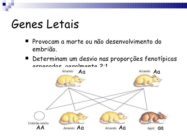 Resultado de imagem para genes letais