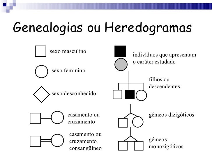 O que é estudado na genética O que é estudado na genética