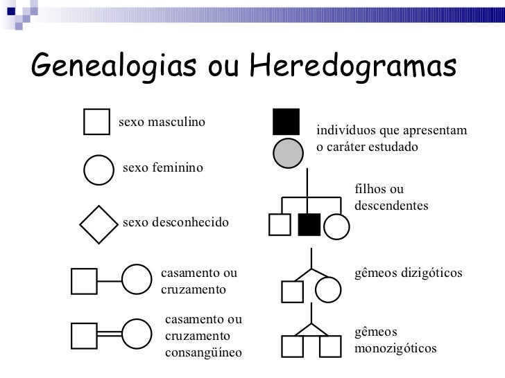 O que é estudado na genética