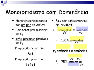 Monoibridismo com Dominância Herança condicionada por  um   par  de alelos. Dois   fenótipos  possíveis em F 2 . Três   genótipos  possíveis em F 2 . Proporção fenotípica 3:1 Proporção genotípica 1:2:1 Ex.: cor das sementes em ervilhas. P   amarelas   x  verdes F 1   100%  amarelas F 1   amarelas  x  amarelas F 2   75%  amarelas   25%  verdes VV vv Vv Vv Vv Vv VV vv 