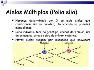 Alelos Múltiplos (Polialelia) Herança determinada por 3 ou mais alelos que condicionam um só caráter, obedecendo os padrões mendelianos. Cada indivíduo tem, no genótipo, apenas dois alelos, um de origem paterna e outro de origem materna. Novos alelos surgem por mutações que provocam alterações na proteína original. 