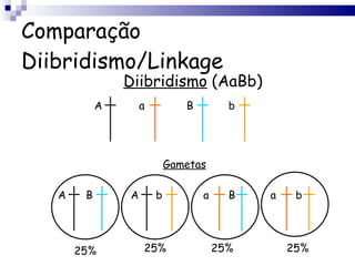 Comparação Diibridismo/Linkage Diibridismo  (AaBb) A a B b Gametas A B A b a B a b 25% 25% 25% 25% 