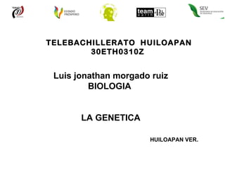 TELEBACHILLERATO  HUILOAPAN 30ETH0310Z  Luis jonathan morgado ruiz BIOLOGIA  LA GENETICA HUILOAPAN VER. 