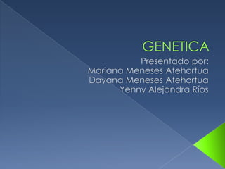 GENETICA Presentado por: Mariana Meneses Atehortua Dayana Meneses Atehortua Yenny Alejandra Ríos 