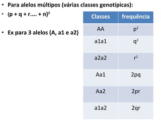 Para alelos múltipos (várias classes genotípicas): ( p + q + r.... + n) 2 Ex para 3 alelos (A, a1 e a2) Classes frequência AA p 2 a1a1 q 2 a2a2 r 2 Aa1 2pq Aa2 2pr a1a2 2qr 