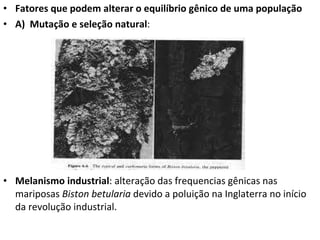 Fatores que podem alterar o equilíbrio gênico de uma população A)  Mutação e seleção natural : Melanismo industrial : alteração das frequencias gênicas nas mariposas  Biston betularia  devido a poluição na Inglaterra no início da revolução industrial.  