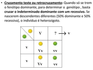 Cruzamento teste ou retrocruzamento :  Quando só se trem o fenótipo dominante, para determinar o  genótipo , basta  cruzar o indeterminado dominante com um recessivo.  Se nascerem descendentes diferentes (50% dominante e 50% recessiva), o indivíduo é heterozigoto.  