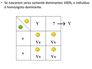 Se nascerem seres somente dominantes 100%, o indivíduo é homozigoto dominante. 
