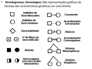 Heredogramas, Genealogias:  São representações gráficas da herança das características genéticas em uma família.  
