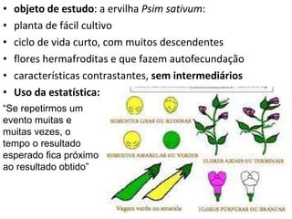 objeto de estudo : a ervilha  Psim sativum :  planta de fácil cultivo  ciclo de vida curto, com muitos descendentes flores hermafroditas e que fazem autofecundação características contrastantes,  sem intermediários Uso da estatística: “ Se repetirmos um evento muitas e muitas vezes, o tempo o resultado esperado fica próximo ao resultado obtido” 