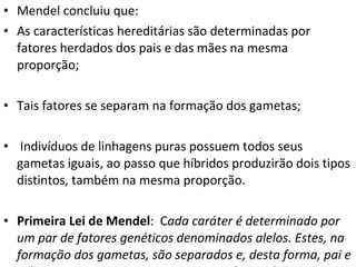 Mendel concluiu que: As características hereditárias são determinadas por fatores herdados dos pais e das mães na mesma proporção; Tais fatores se separam na formação dos gametas; Indivíduos de linhagens puras possuem todos seus gametas iguais, ao passo que híbridos produzirão dois tipos distintos, também na mesma proporção. Primeira Lei de Mendel :  C ada caráter é determinado por um par de fatores genéticos denominados alelos. Estes, na formação dos gametas, são separados e, desta forma, pai e mãe transmitem apenas um para seu descendente. 
