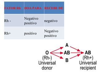 FATOR Rh DOA PARA RECEBE DE Rh - Negativo  positivo negativo Rh+ positivo Negativo  positivo 