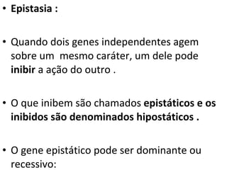 Epistasia : Quando dois genes independentes agem sobre um  mesmo caráter, um dele pode  inibir  a ação do outro .  O que inibem são chamados  epistáticos e os inibidos são denominados hipostáticos . O gene epistático pode ser dominante ou recessivo: 