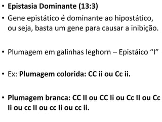 Epistasia Dominante (13:3) Gene epistático é dominante ao hipostático, ou seja, basta um gene para causar a inibição. Plumagem em galinhas leghorn – Epistáico “I” Ex:  Plumagem colorida: CC ii ou Cc ii. Plumagem branca: CC II ou CC Ii ou Cc II ou Cc Ii ou cc II ou cc Ii ou cc ii. 