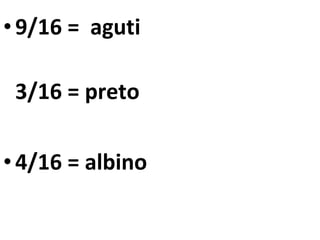 9/16 =  aguti 3/16 = preto 4/16 = albino 