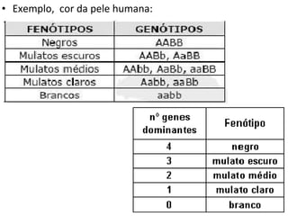 Exemplo,  cor da pele humana:  