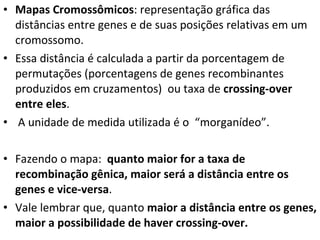 Mapas Cromossômicos : representação gráfica das distâncias entre genes e de suas posições relativas em um cromossomo.  Essa distância é calculada a partir da porcentagem de permutações (porcentagens de genes recombinantes produzidos em cruzamentos)  ou taxa de  crossing-over entre eles . A unidade de medida utilizada é o  “morganídeo”. Fazendo o mapa:  quanto maior for a taxa de recombinação gênica, maior será a distância entre os genes e vice-versa .  Vale lembrar que, quanto  maior a distância entre os genes, maior a possibilidade de haver crossing-over. 