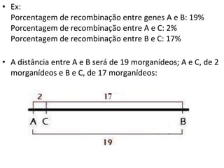 Ex: Porcentagem de recombinação entre genes A e B: 19% Porcentagem de recombinação entre A e C: 2% Porcentagem de recombinação entre B e C: 17% A distância entre A e B será de 19 morganídeos; A e C, de 2 morganídeos e B e C, de 17 morganídeos: 