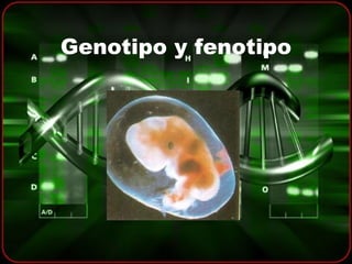 Genotipo y fenotipo 