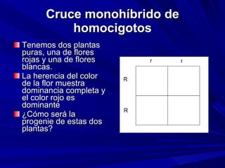 Cruce monohíbrido de homocigotos Tenemos dos plantas puras, una de flores rojas y una de flores blancas. La herencia del color de la flor muestra dominancia completa y el color rojo es dominante ¿Cómo será la progenie de estas dos plantas? 
