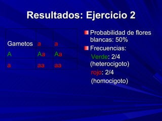 Resultados: Ejercicio 2 Probabilidad de flores blancas: 50% Frecuencias: Verde : 2/4 (heterocigoto) rojo : 2/4 (homocigoto) Gametos a a A A a A a a aa aa 