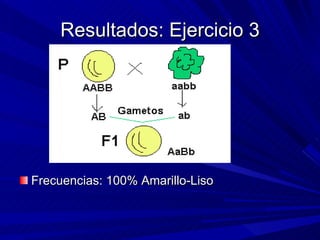 Resultados: Ejercicio 3 Frecuencias: 100% Amarillo-Liso 