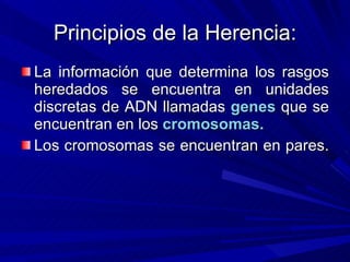 Principios de la Herencia: La información que determina los rasgos heredados se encuentra en unidades discretas de ADN llamadas  genes  que se encuentran en los  cromosomas. Los cromosomas se encuentran en pares.  