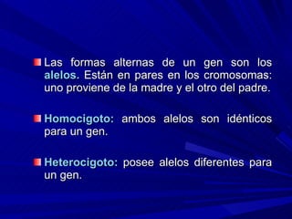 Las formas alternas de un gen son los  alelos.  Están en pares en los cromosomas: uno proviene de la madre y el otro del padre. Homocigoto:  ambos alelos son idénticos para un gen. Heterocigoto:  posee alelos diferentes para un gen. 