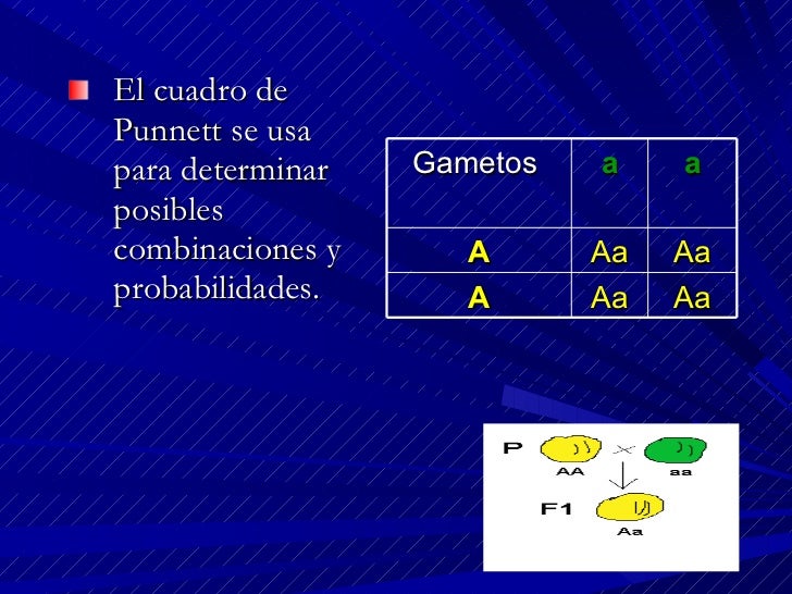 Genética